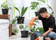 Cách vận chuyển cây xanh đi xa an toàn và nhanh chóng
